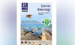 İskele sahilinde bugün caretta carettalar denize bırakılıyor