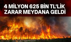 KKTC’de bir haftada 4 yangın