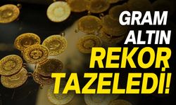 Altın rekor tazeledi