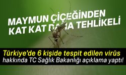 TC Sağlık Bakanlığı duyurdu: Batı Nil Virüsü 6 kişide tespit edildi!