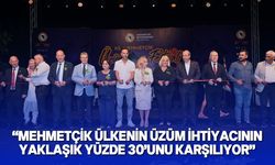 Üstel, 62. Mehmetçik Üzüm Festivali açılış törenine katıldı