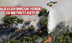 Yunanistan'da orman yangınları nedeniyle binlerce kişiye tahliye emri verildi