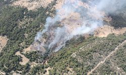 Antalya'nın Kaş ilçesinde orman yangını!