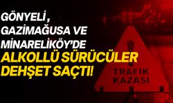 Alkollü sürücüler trafik Kazalarına neden oldu!