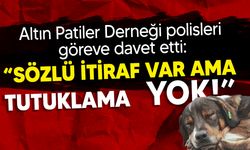 Altın Patiler Derneği: "T.B. köpeği öldürdüğünü sözlü olarak itiraf etti, tutuklanmadı"