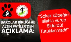 Barolar Birliği ve Altın Patiler Derneği: “Paşaköy’de bir köpek silahla vurulup katledildi”