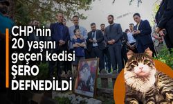 CHP'nin kedisi Şero toprağa verildi