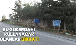 Değirmenlik-Dağ Yolu güzergahında ağaç budama ve temizlik yapılacak