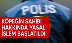 Ruhsatsız köpek 5 yaşındaki çocuğu tırmalayarak yaraladı