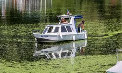 Sırbistan'da Sava Nehri alg patlaması nedeniyle renk değiştirdi