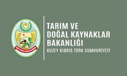 2024 Yılı Küçükbaş Hayvan Başı Desteklerinin II. taksit ödemesi yapılıyor