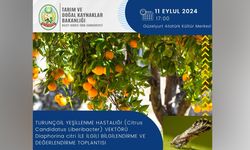 Turunçgil yeşillenme hastalığı ile ilgili bilgilendirme toplantısı düzenleniyor