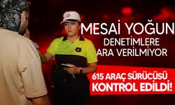 Ülke genelindeki trafik denetimlerinde 344 sürücü rapor edildi