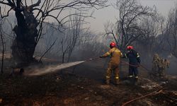 Yunanistan'ın Kozani kentindeki orman yangınına müdahale ediliyor