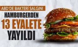 ABD'de hamburgerden bulaşan salgın 13 eyalete yayıldı