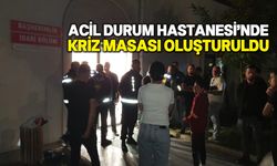 Ada genelinden gelen doktorlarca çalışmalar sürdürülüyor