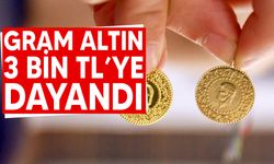 Altın yükselişe devam ediyor