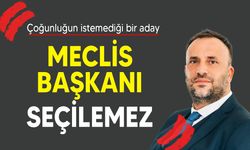 Çeler: "Meclis iç tüzüğü açıktır"