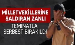 Devrim Barçın ve Ürün Solyalı’a saldıran şahıs mahkemeye çıkarıldı