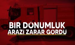 Dipkarpaz-Zaferburnu yolunda yangın meydana geldi