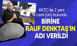 KKTC'de keşfedilen canlı türünden birine Rauf Denktaş'ın adı verildi