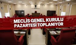 Başkanlık Divanı Seçimleri yapılacak