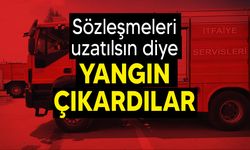 Ormanı bilerek yakan 4 kişi tutuklandı