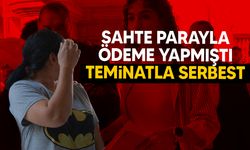 Sahte para meselesinin zanlısı teminata bağlandı!