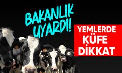 Tarım Bakanlığı uyardı: “Hayvan beslemesinde küfe dikkat edilmeli"