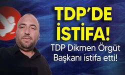 TDP Örgüt başkanı istifa etti