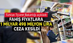 Türkiye'de fahiş fiyatlara milyarlarca lira ceza kesildi