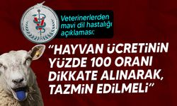 Veteriner Hekimler Birliği: "Temasa bağlı bulaşma söz konusu değil"