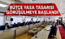 2025 bütçesi Komite’de görüşülmeye başladı