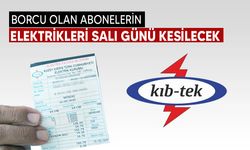 675 TL üzeri elektrik borcu olan abonelerin elektrikleri salı günü kesilecek