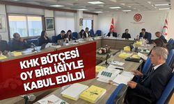 92 milyon 485 bin 800 TL’lik bütçe Komite'den geçti