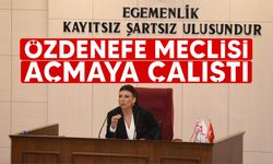 CTP, Cumhuriyet Meclisi'nde oturumu "Meclis Başkanlığı Seçimi" gündemiyle açma girişiminde bulundu