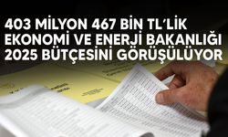 Ekonomi ve enerji, komitede tartışılıyor