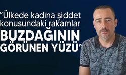 Erşangil: "Yalnızca bir kadın sığınma evinin olmasını kabul edilmezdir, sığınma evi açmak devletin görevidir"