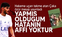 Hakeme tekme atan Hasan Çaka özür mesajı yayınladı