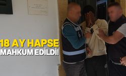 Kadın polisi darp edip parmağını kırmıştı!