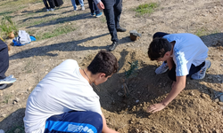 Hala Sultan İlahiyat Koleji'nden zeytin fidanı dikme etkinliği