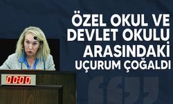 Besim: "Üniversitelerde yapıldığı söylenen denetimlerin raporlarının niye Meclis'e gelmedi"