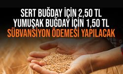 Buğday üreticilerine sübvansiyon ödemesi kararı tadil edildi