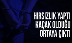 Demirhan’da hırsızlık yapan şahısın kaçak olduğu ortaya çıktı!