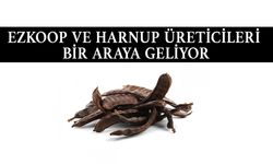 EZKOOP harnup üreticileri ile bir araya geliyor