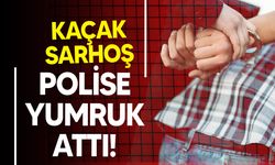 Kaçak sarhoş, polise yumruk attı!