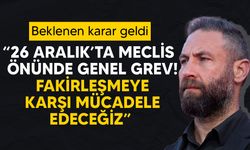 Maviş: " Herkesi genel grev ve mitinge davet ediyoruz"