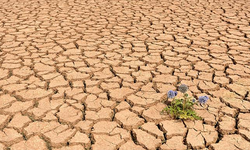 Meteoroloji Mühendisleri Odası küresel ısınma kaynaklı olumsuzluklardan endişe duyduğunu kaydetti