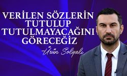 Solyalı: "Ombudsmanın rapor sonuçlarının etkin olması önemli "