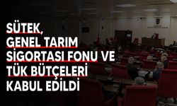 Sütek, Genel Tarım Sigortası Fonu ve TÜK bütçeleri kabul edildi